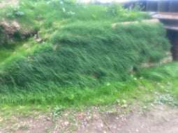 5 weeks after installing SoluForm's MSE Bagwork the retaining wall looks like a natural garden wall