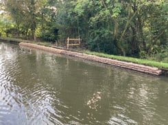 Macclesfield 11