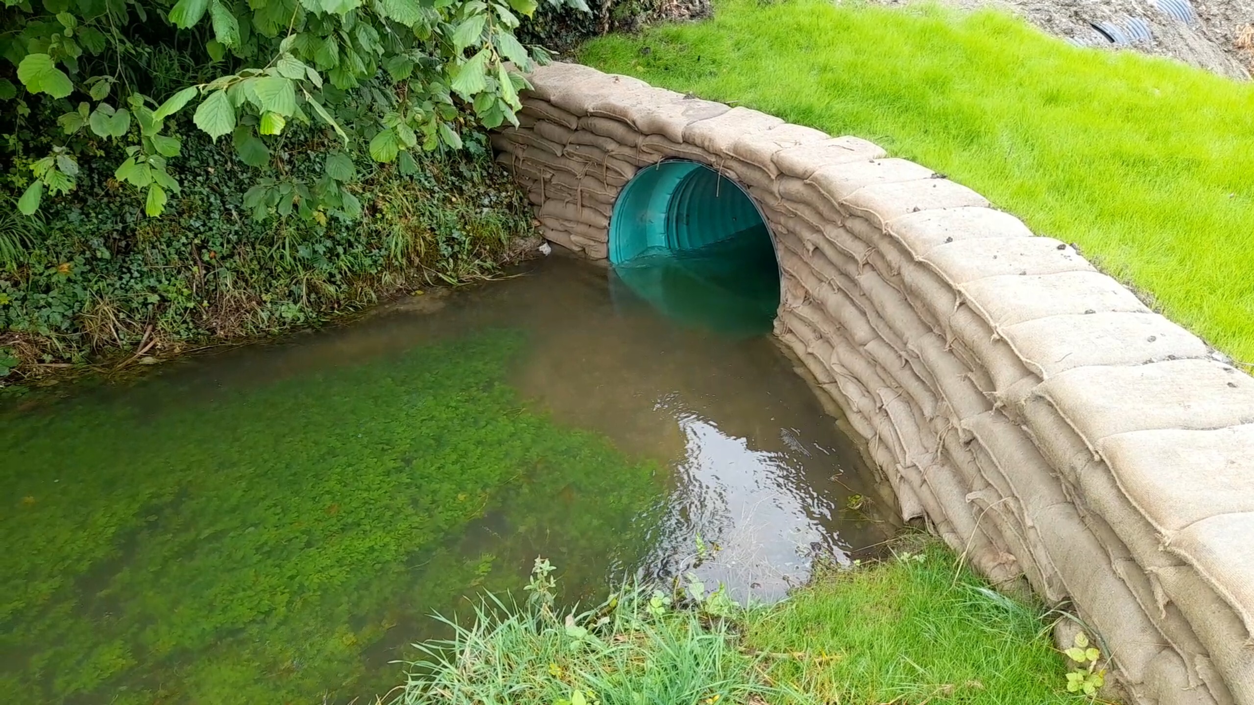 Bedford IDB, River Ivel, Astwick, Henlow, Beds